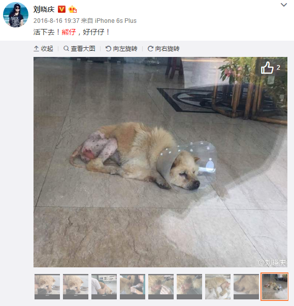 阿利松经纪人:最近不会有进展-万博体育(图3) 万博体育下载