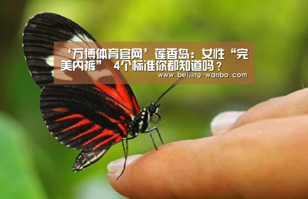 万博Manbetx