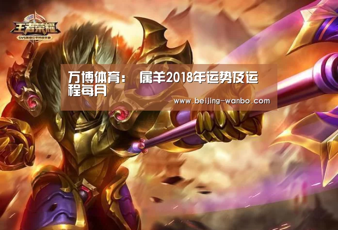 wanbo体育